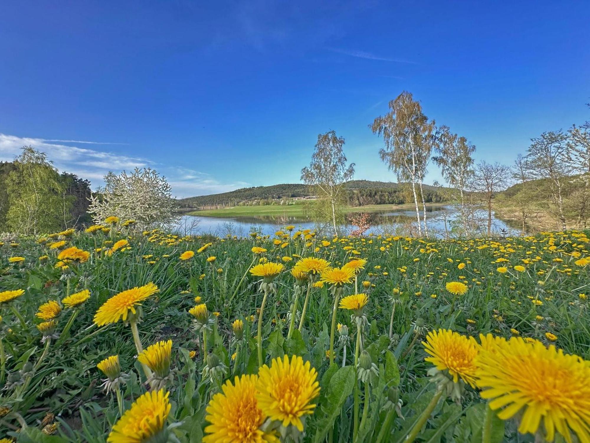 Feriendorf Seeblick - Tinyhouse Direkt Am See Neunburg vorm Wald Exterior foto